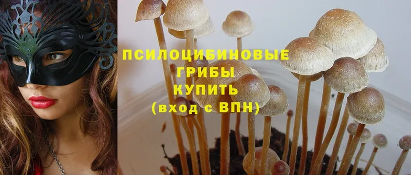 Псилоцибиновые грибы Psilocybine cubensis  мориарти как зайти  Углич 